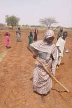 Families plant seeds before the rains come
