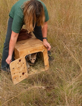 Build the Western Cape's 1st Wildlife Centre