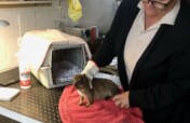 Build Western Cape's 1st Wildlife Rehab Centre