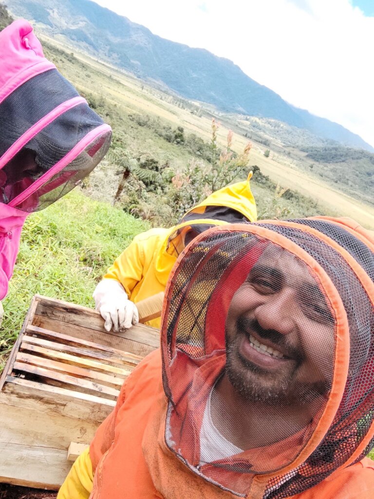 The happy end of a rescue, bees in a safe new home