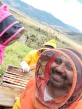 The happy end of a rescue, bees in a safe new home