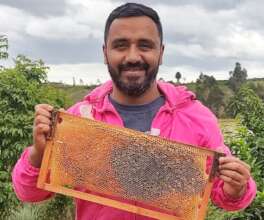 This shows the bees are productive and happy!