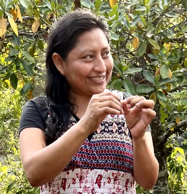 Bee Sanctuary in Colombia