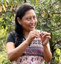 Technical Training to Rescue Bees