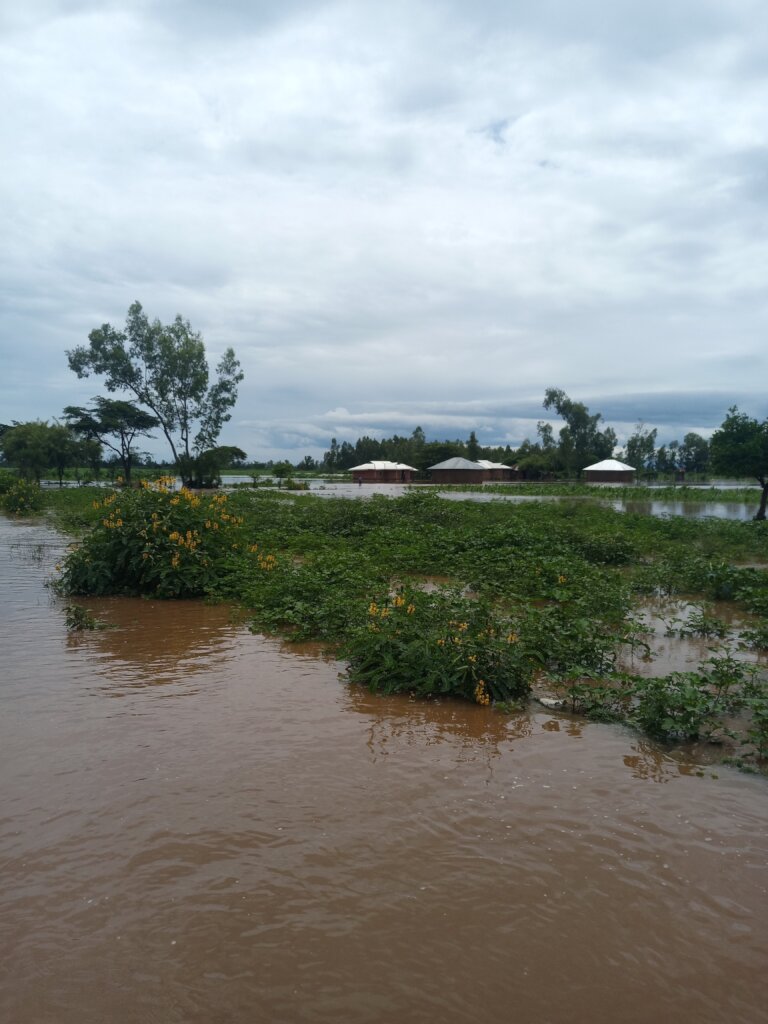 Marooned houses as people flee from them