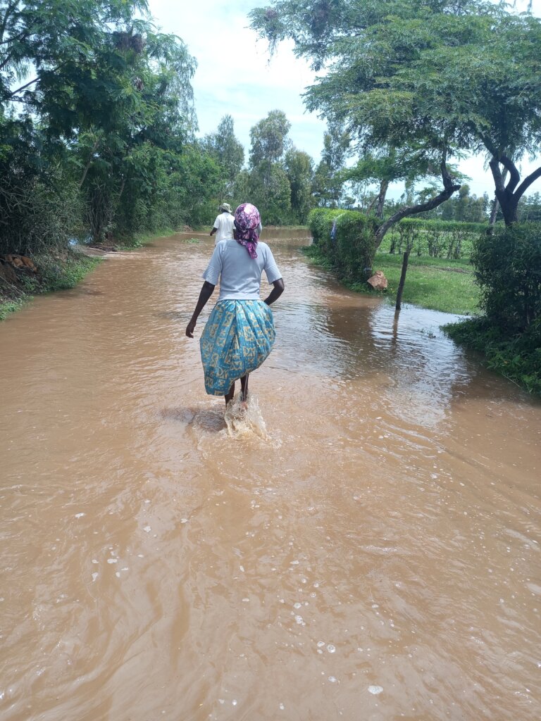 A woman wading through the flood waters