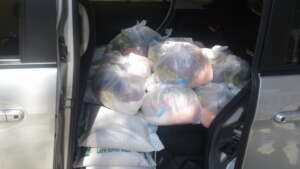 Distribution of Dry food Rations
