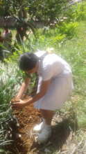 Conducting Environmental Conservation Project