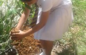210 Orphaned Children will Receive Free Education