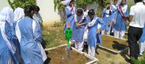 Planting okra & gourd for the breakfast table