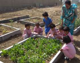 Watering the vegetable garden