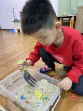 In, out, in, out! These are all my treasures!