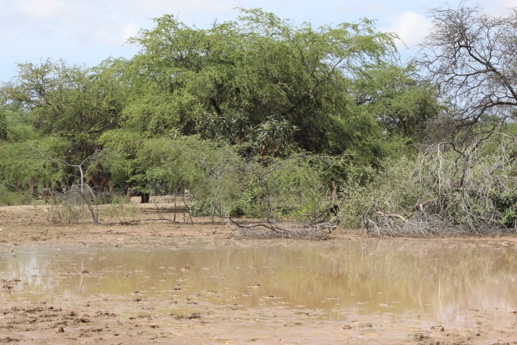 Flood relief for families in Pacasmayo, Peru