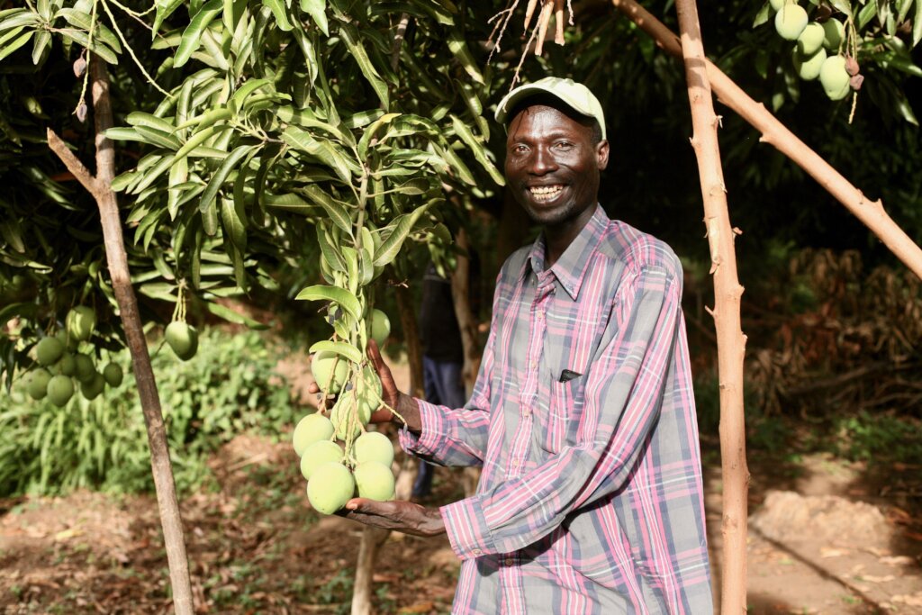 Food Security for 500 families in WestPokot Kenya