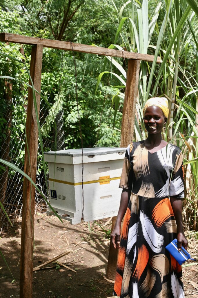 Food Security for 500 families in WestPokot Kenya