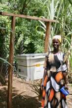 Beekeeper with modern beehive