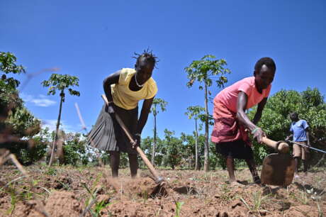 Food Security for 500 families in WestPokot Kenya