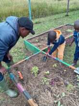 Ndunge Satellite ECD - Digging holes for seedlings