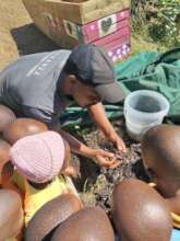Nanini Satellite ECD - Learning about worm farms