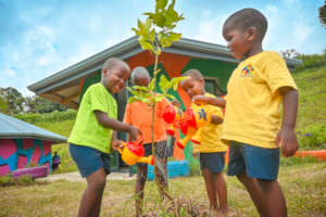 Watering a newly planted tree at Mkhumbini ECO ECD