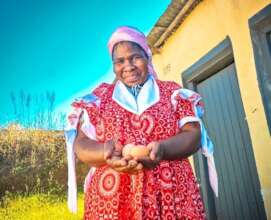 Pilot participant, Nomusa, with her hens' eggs