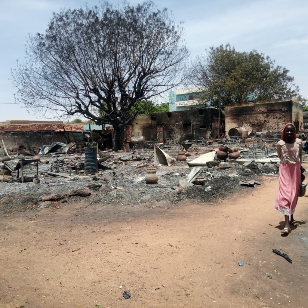 Support for displaced families in West Darfur/Chad