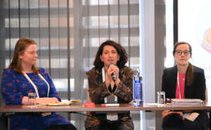 WMDA Volunteers sharing best practices