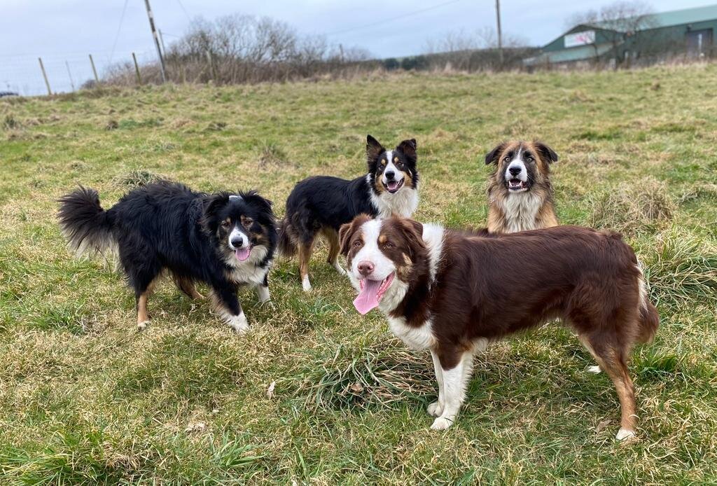 Bruce, Charlie and friends