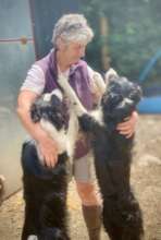 Diane with 2 collies