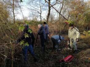 Betere natuur creeren