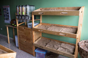 Final Designs at La Tiendita Soberana