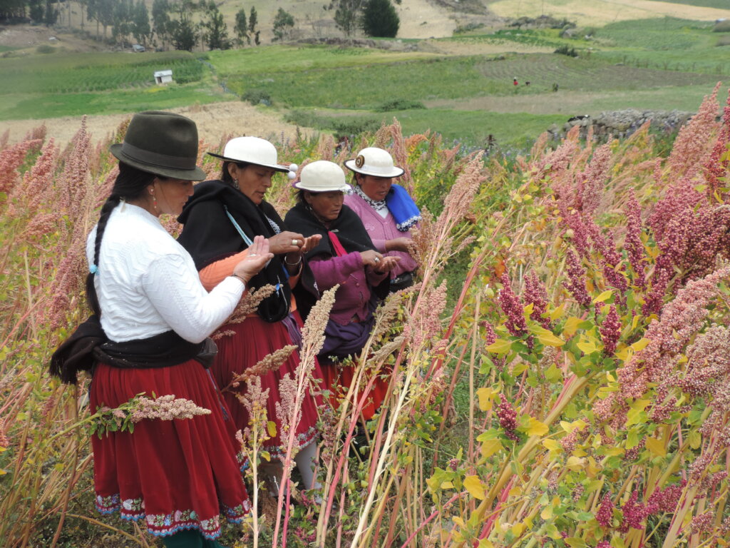 IX World Quinoa Congress, Canar-Ecuador