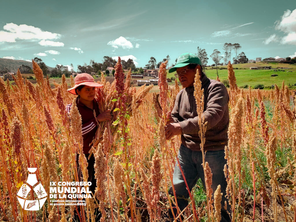 IX World Quinoa Congress, Canar-Ecuador