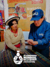 Andean grains and comprehensive health
