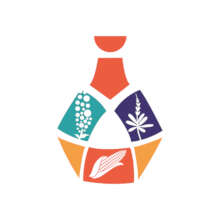 IX World Quinua Congress & Symposium Logo 2025