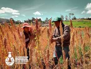 Cultural matrix of Andean grains