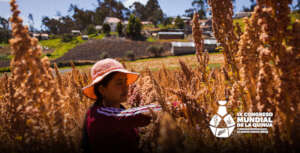 Plant genetic resources