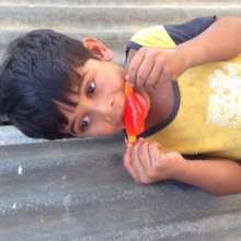 Ice-cream Distribution