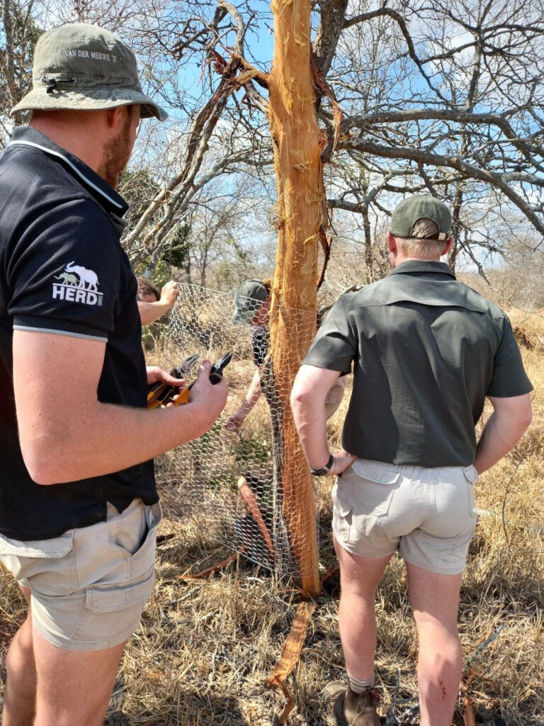 VetBooks for Africa Initiatives