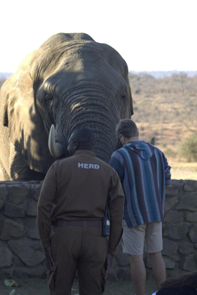 VetBooks for Africa Initiatives