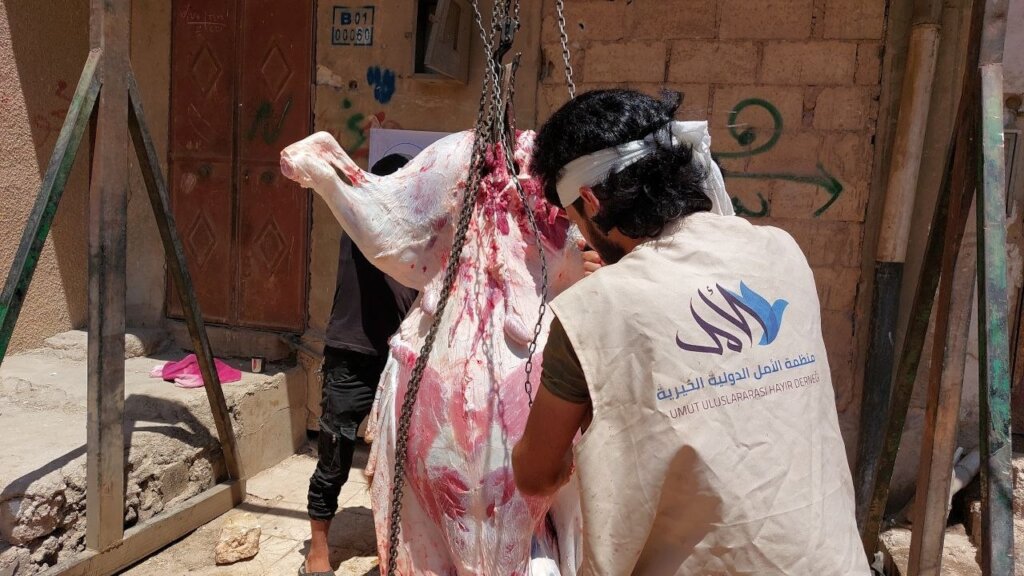 Provide Meat Shares to Those in Need in Syria