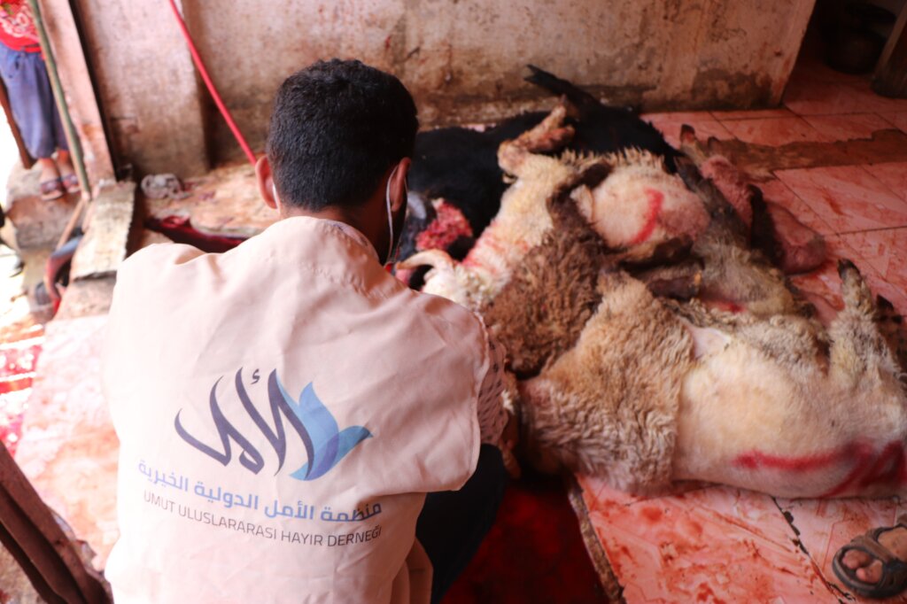 Provide Meat Shares to Those in Need in Syria