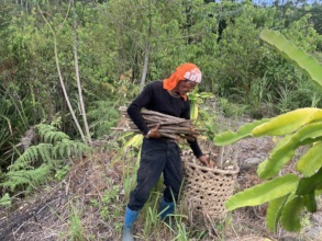 Increasing forage supply