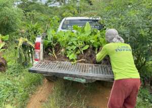 Food production