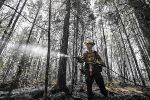 Canada Wildfire Relief Fund