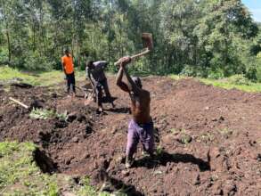 Clearing our new land