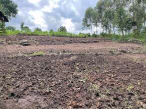 New land ready to build