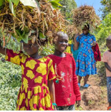 Contribute, be the seeds of change