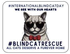 Celebrate Blind Cat Day October 20, 2025!