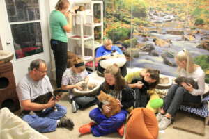 BCR Cats Get Lots of Love and Attention